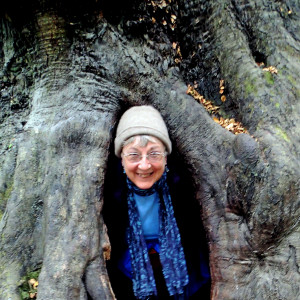 M Bahr emerging from a Hobbit Tree